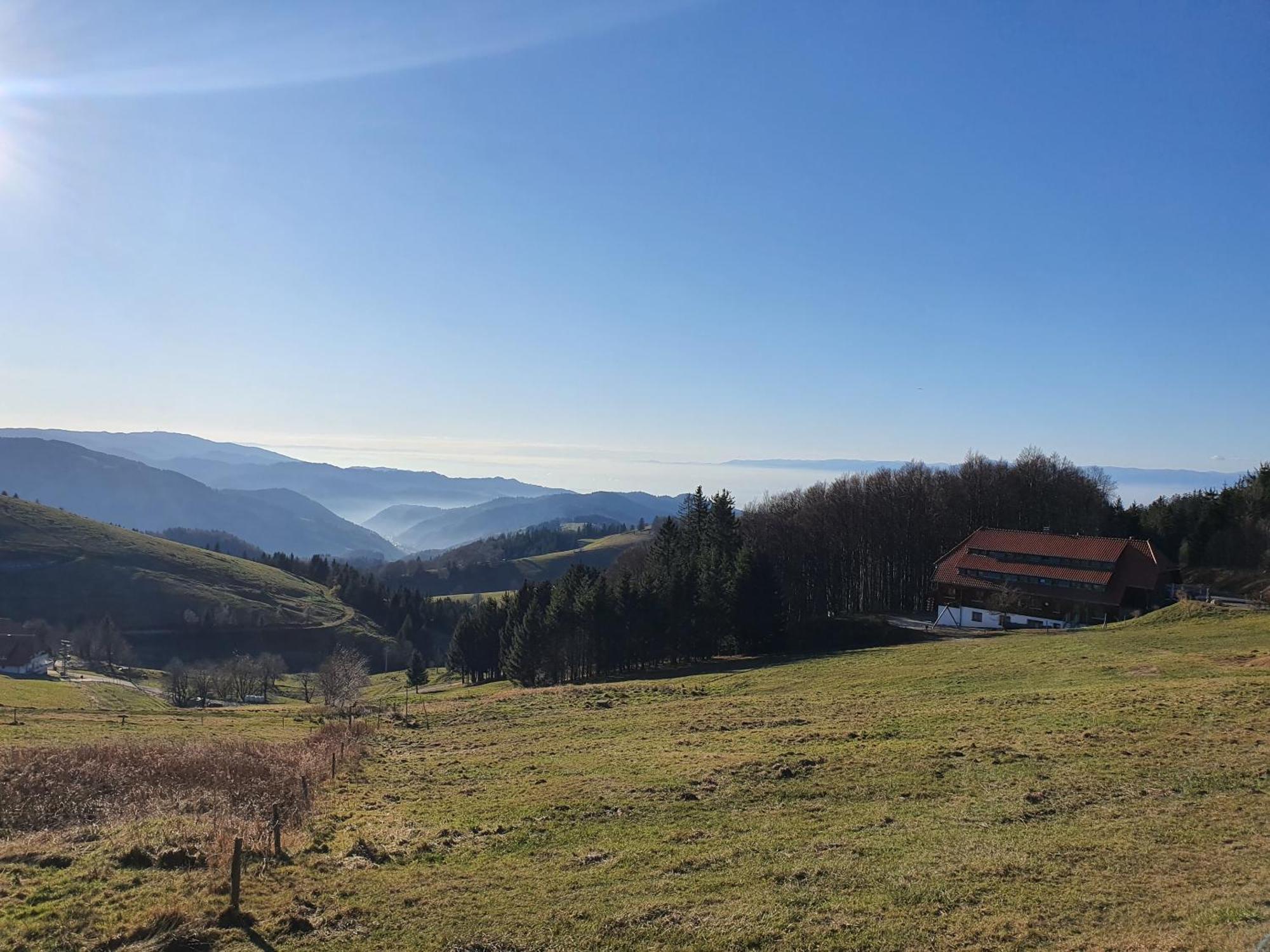 Schwarzwaldhimmel Villa Feldberg  Exterior foto