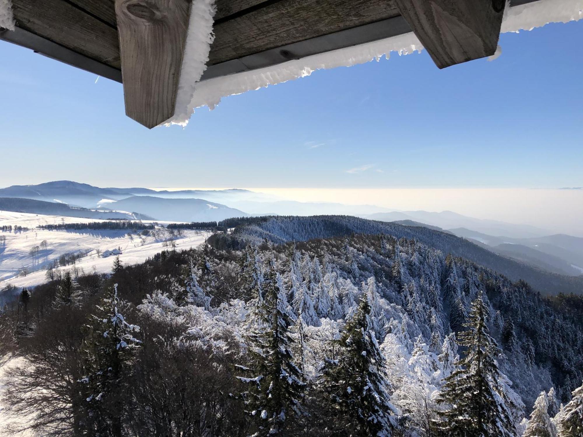 Schwarzwaldhimmel Villa Feldberg  Exterior foto