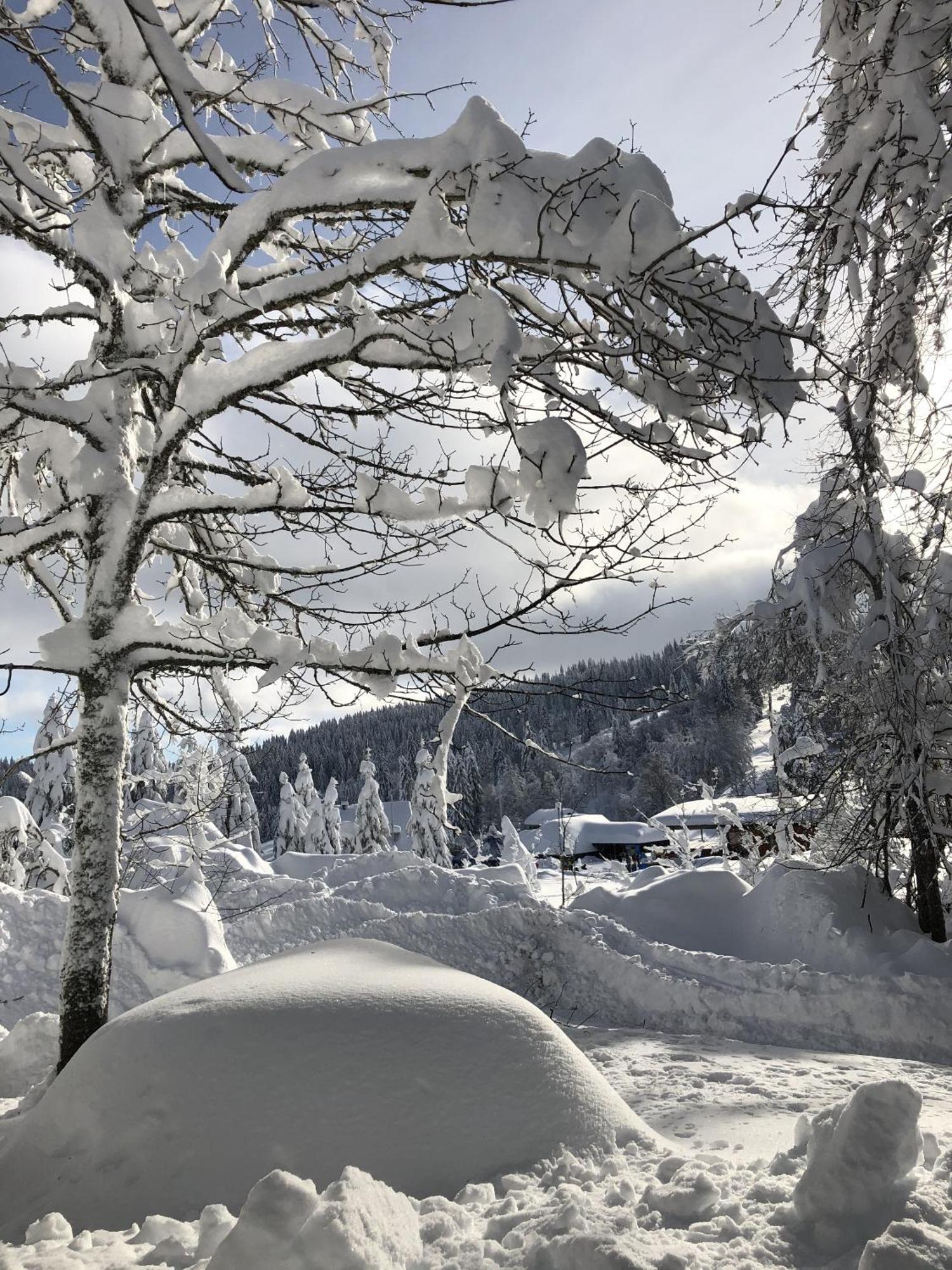 Schwarzwaldhimmel Villa Feldberg  Exterior foto