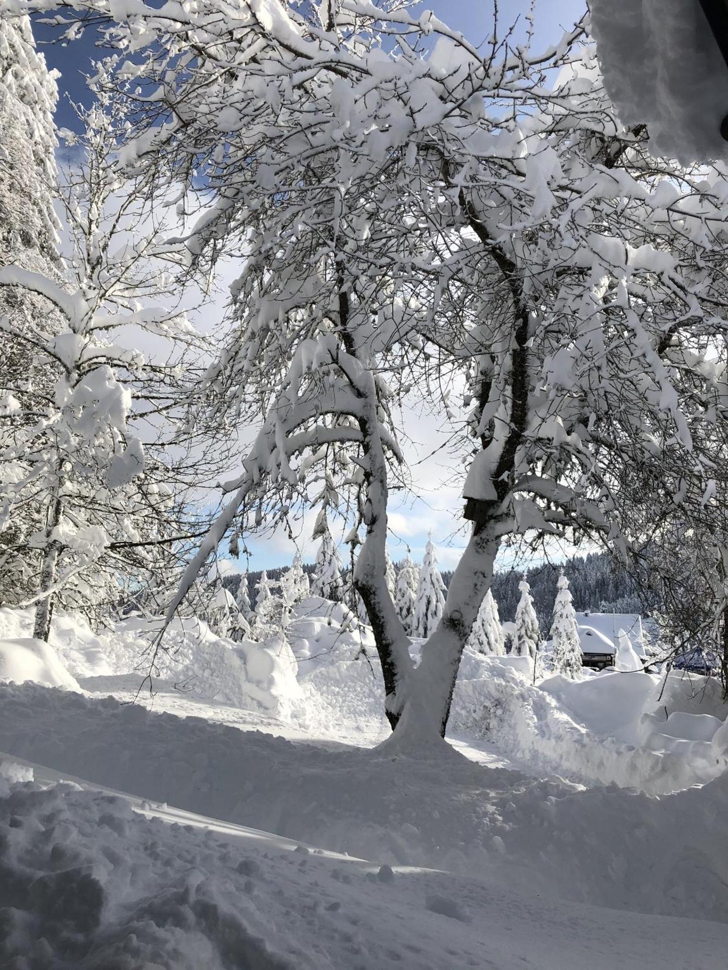 Schwarzwaldhimmel Villa Feldberg  Exterior foto