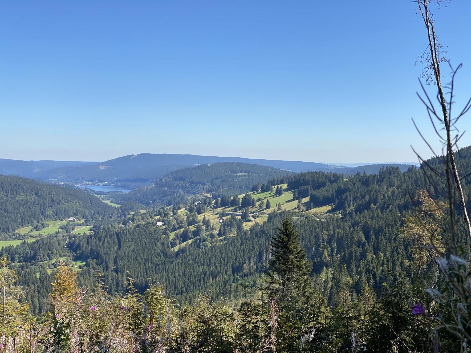 Schwarzwaldhimmel Villa Feldberg  Exterior foto